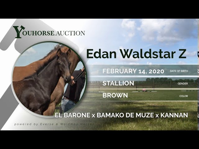Edan Waldstar Z