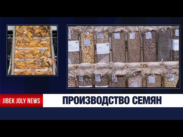 Новый этап развития семенного производства