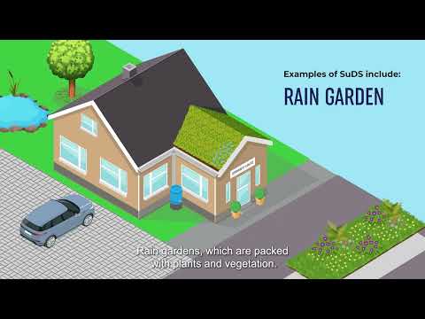 Living With Water - Sustainable Drainage Systems (SuDS)
