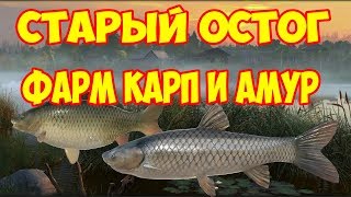 Ловля амура на озере ст острог
