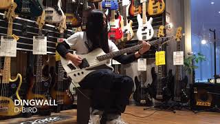 Video thumbnail for Dingwall D-bird by 三木楽器 / MIKIGAKKI 公式チャンネル