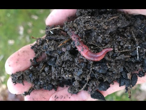 Was ist Terra Preta? Wozu ist Pflanzenkohle gut?