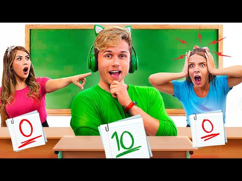 Gato and the story of how it is important to study well in school.