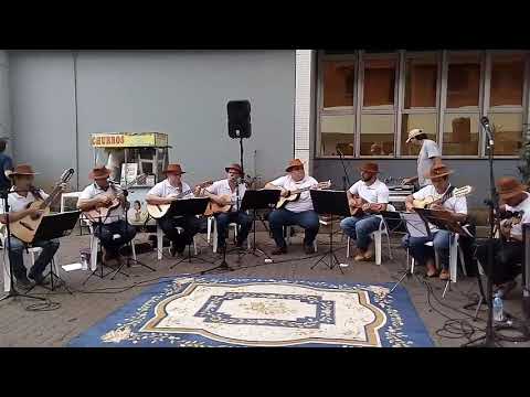 Orquestra Blumenauense de viola caipira