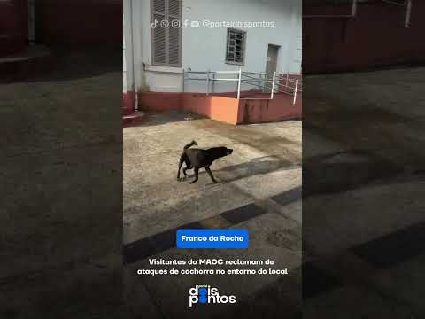 Visitantes do Museu de Franco da Rocha denunciam ataque de cachorra no entorno do local