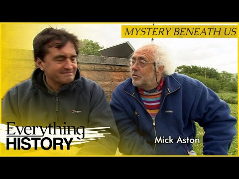 Archaeologists Uncover 5,000-Year-Old Mystery Beneath Dorset Farm