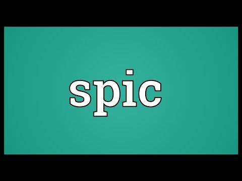 Spic Meaning