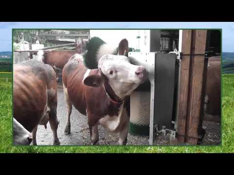 Brosse automatique montée sur parallélogramme pour vaches - AGRIEST ELEVAGE - Adaptée à la taille de l'animal_5