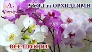 Виділено кошти на Вилківського будинку