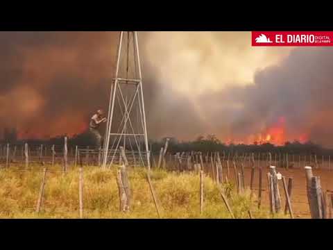Incendios forestales afectan miles de hectáreas en Santa Isabel y Cuchillo Co