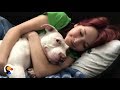 Pit Bull Can T Stop Kissing Favorite Girl The Dodo