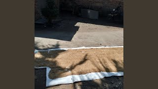 Download lagu Kebahagiaan mp3