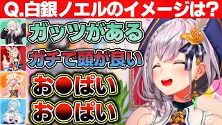 『白銀ノエルはどんな人?』という質問に素直に答えるねぽらぼの4人【ホロライブ/白銀ノエル/桃鈴ねね/尾丸ポルカ/雪花ラミィ/獅白ぼたん】