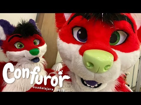 download lagu mp3 mp4 Confuror, download lagu Confuror gratis, unduh video klip Confuror