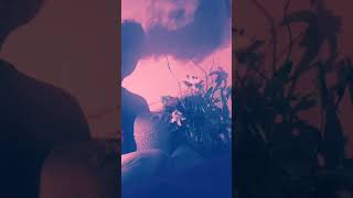 Download lagu Mujhko lambi umar ki dua na do || Naseeb || Mood off | Whatsapp status Video 2021 mp3