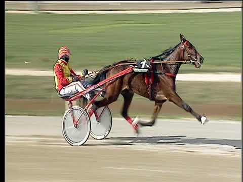 Trotto 02/03/2018 - 1ª corsa