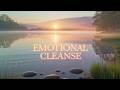 Emotional Cleanse – Let Go of the Pain You’ve Been Carrying | | Lenzspot