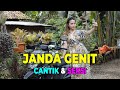 JANDA GENIT Film Pendek Ngapak Banyumas