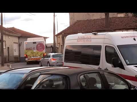 STCP - 3171, 3205, 3208 e 3215 - 805