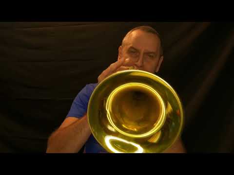 Gennady Savkin feat. Denis Maranin & Max Grebenshikov - Pantera