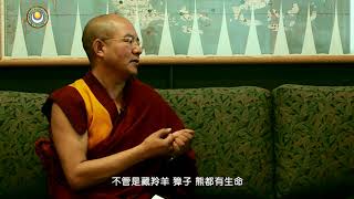 07慧晤—环保从心开始-索达吉堪布对话叶蓓教授 >> 环保从心开始 01 上师回答03 老鼠和藏羚羊都应被保护 中文版