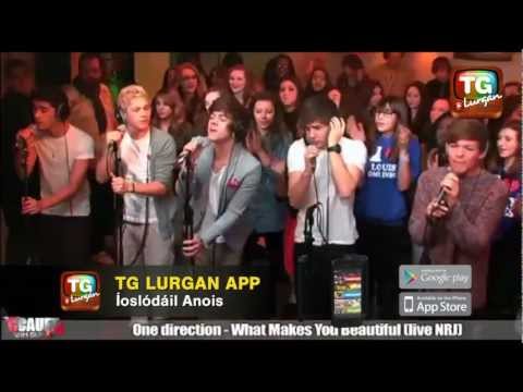 Is tú is áille 'tá beo - One Direction as Gaeilge