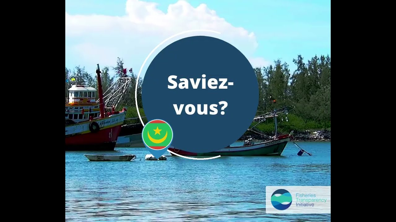 #KnowYourFisheries - Mauritania's foreign fishing access agreements (2020)