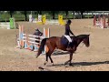 Jument - Selle Français - 5 ans - CSO - France