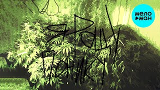 квестик  - Я РОЩУ ПОНИКУ (Single 2021)