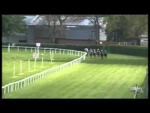 Cena trojročných žrebcov - Cheeky Chappie