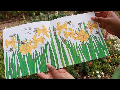 The Reason for a Flower by Ruth Heller | Discovery Field Trip