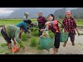 The Hidden Power Of Vietnam S Rice Industry A Single Mother S Inspiring Rural Life