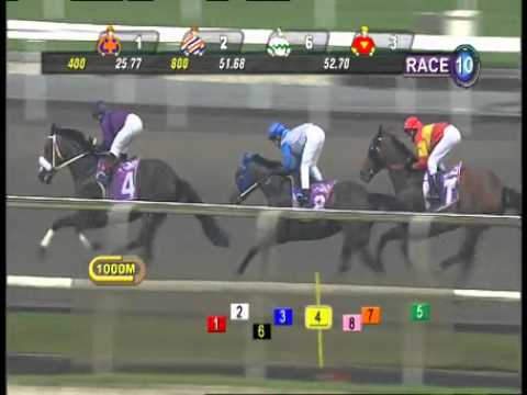 マイターピーク　8着　2013.03.24　R10　MARSILING CLASSIC STAKES (SG3)