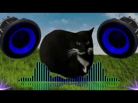 MAXVELL CAT PHONK ⚠️BASS BOOSTED⚠️