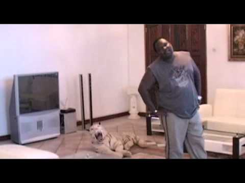 Lucius Banda - Start Again