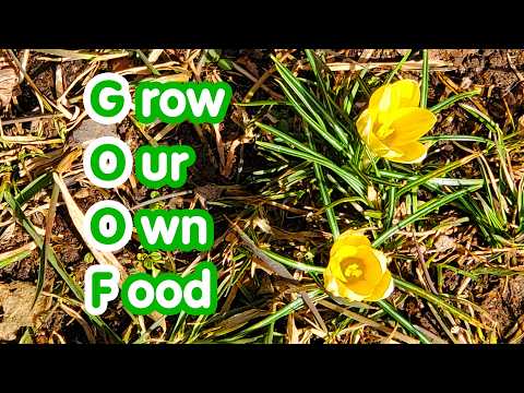 Paul Wheaton's GOOF: Grow Your Own Food for Resilience