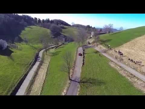 5th Lessinia Sport, 2015. BMW