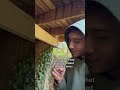 The PROPER Way To Support A Treehouse