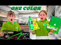 BUYING Everything In ONE COLOR Gone Wrong