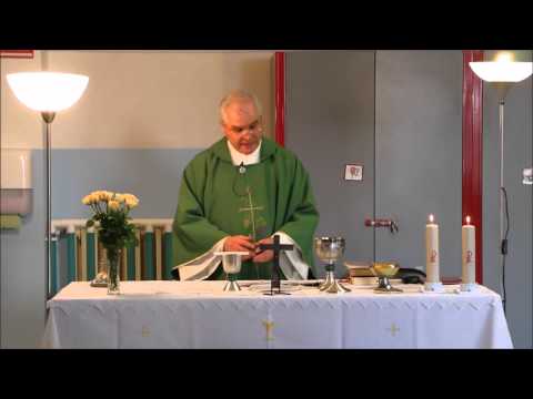 Messa Don Franco - Tradate - 2016-01-24 - La Santa Messa completa