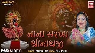 Nana Sarkha Shreenathji I Devotional Gujarati Song I Parthiv