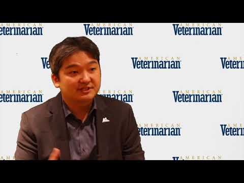 Is Cross-matching Important for the First Blood Transfusion in Dogs?