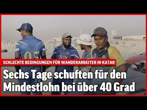 Wanderarbeiter in Katar: Sechs Tage Arbeit, ein Tag frei | Blick-Reportage