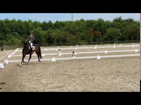 I.P.S Javea (v. I.P.S Bon bravour X Krack C)