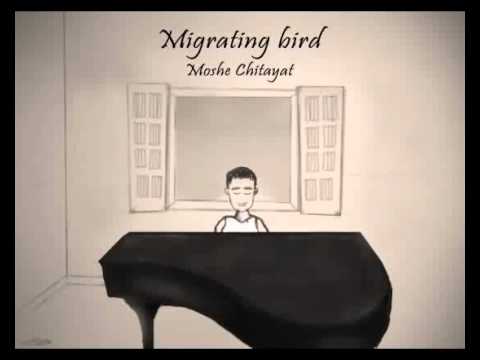 Migrating bird - Moshe Chitayat