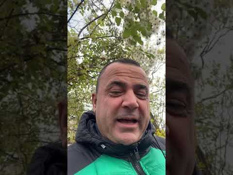 dajua ka ikur per......