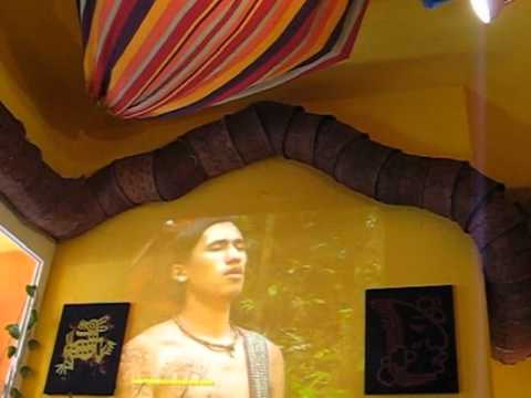 The Indigenous Resistance-Der Indigene Widerstand