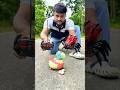 Natun Birds Parrots And Big RC Spider Ki Unboxing