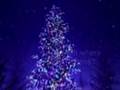 Oh Christmas Tree and its History