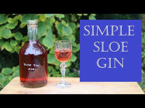 Simple Sloe Gin Recipe - in 3 minutes flat!